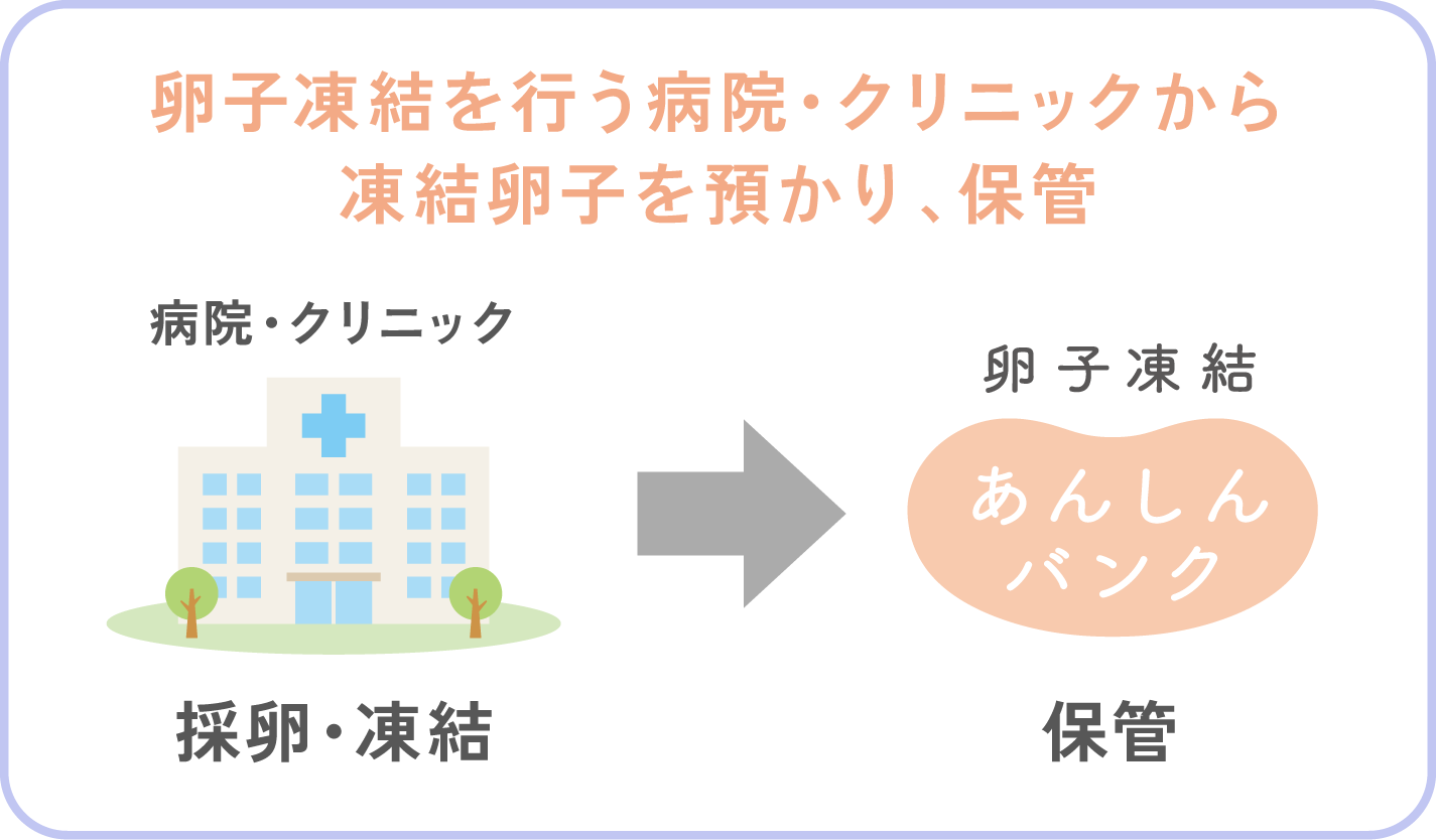 image_system